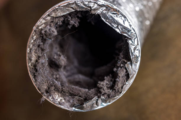 Best Affordable Duct Cleaning Services  in Davenport, FL